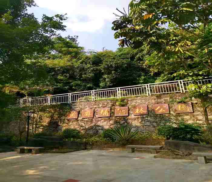 深圳大浪小產(chǎn)權房,上合花園里
